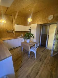 a kitchen with a table with a potted plant on it at Solne Apartamenty Luna 4 in Wieliczka