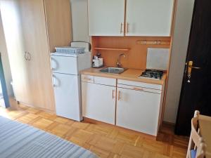 Dapur atau dapur kecil di Apartments Viktorija