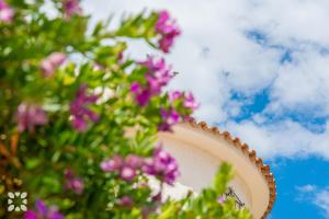lustro przed różowymi kwiatami w obiekcie Villa Esmeralda by Abahana Villas w mieście Calpe
