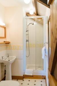 a bathroom with a shower and a sink at Lower Tresmorn Farmhouse in Crackington Haven