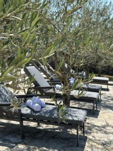 Naturlandskabet i nærheden af villaen