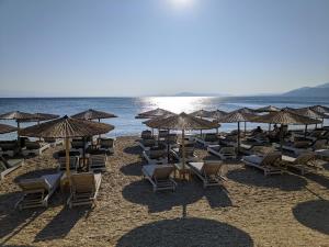 Táj Show holiday homes közelében