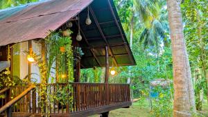 Zahrada ubytování Coconut Tree House