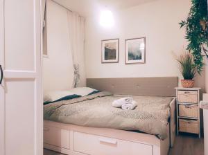 une chambre avec un lit avec un animal en peluche dessus dans l'établissement Good vibes apartment in center, à Bratislava