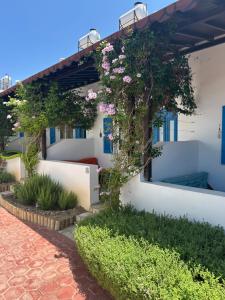 Сад в Sunside Inn Hotel