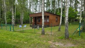 a small wooden cabin in the woods with trees at Domek w Borkowie nad jeziorem in Borkowo