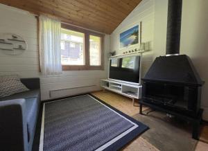 a living room with a fireplace and a television at Lomariihi 2 in Muurame