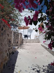 Fotografie z fotogalerie ubytování Loukas Kontos Traditional House v destinaci Emporio