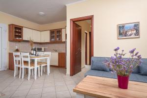Kuchyňa alebo kuchynka v ubytovaní Nostos - Psili Ammos Apartments