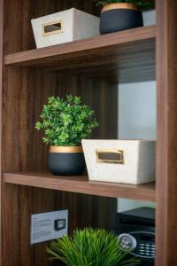 Gallery image of Eclectic Akumal Retreat Pool Beach Wi-Fi Tulum in Tankah