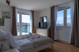 滨湖波德斯多夫Comfort Collection Podersdorf am See的一间带床、电视和窗户的卧室