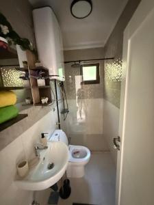 a small bathroom with a sink and a toilet at Apartman Smaragd Lux in Plužine +60 photos