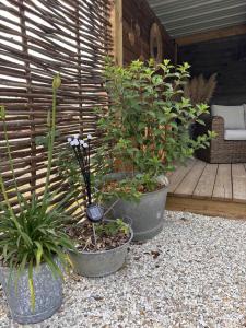 three pots with plants in them sitting on a patio at La Cabane Mini Enchantée ! in Thenay