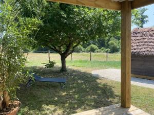 a blue bench sitting under a tree in a yard at La Cabane Mini Enchantée ! in Thenay +16 photos