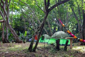 Zahrada ubytování ECOCAMPING JACAMAR