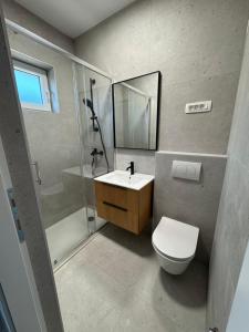 a bathroom with a toilet and a sink and a shower at Apartmani Antonela in Seline
