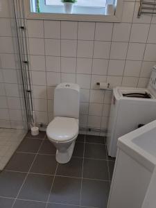 a bathroom with a white toilet and a sink at Centrum apartment Lindvallen in Sälen