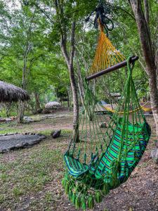 Zahrada ubytování ECOCAMPING JACAMAR