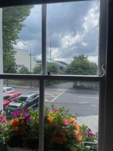 Bilde i galleriet til The Merry Cobbler i Dublin