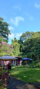 Zahrada ubytování Reserva Jequitibá Rosa Reconexão Com a Natureza