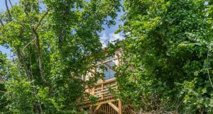 a house surrounded by trees in the woods at L'Observatoire Sauvage - Climatisation - Nature - Insolite - Amboise in Amboise