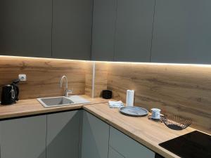 una cocina con fregadero y encimera en Apartman Vida, en Trebinje 4 fotos más