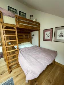 Un dormitorio con una litera con escalera. en Church Brae, en Tomatin