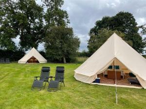 a group of chairs and tents in a field at Fords Farm Glamping & Farm House in Oswestry