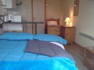 a bedroom with a bed with blue pillows and a table at The Wee Housie, Talmine in Talmine