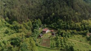 Příroda nedaleko chaty