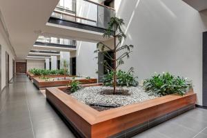 Fotografie z fotogalerie ubytování SCALA City Center by Downtown Apartments v Gdaňsku