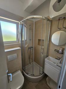 a bathroom with a shower and a toilet and a sink at Apartman Bepino terasa&parking in Pirovac