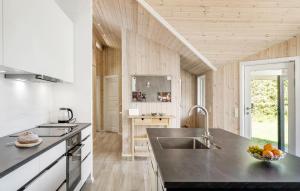 4 Bedroom Stunning Home In Fjerritslev廚房或簡易廚房