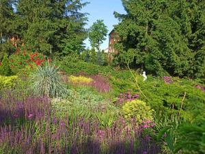 a field of flowers with a house in the background at Noclegi u Uli in Konin