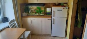 eine kleine Küche mit Kühlschrank und Aquarium in der Unterkunft 2-room apartment with balcony 60m2 in Viimsi center in Haabneeme