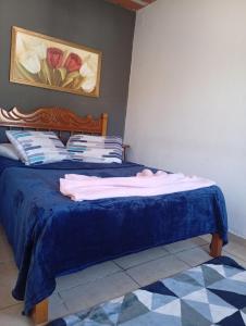 a bedroom with a bed with a blue comforter at casinha da Sirlene in Nova Friburgo