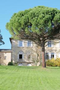 ein großer Baum vor einem großen Haus in der Unterkunft Château du Bost, 21 personnes, piscine, Beaujolais, Blacé proche Lyon in Blacé + 54 Fotos