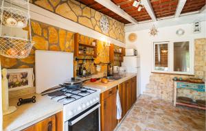 Kuchyňa alebo kuchynka v ubytovaní Two-Bedroom Apartment In Ivan Dolac