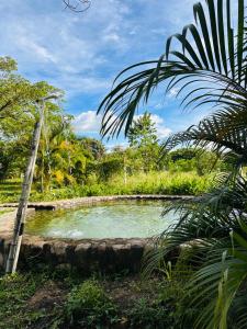 Loodusmaastik puhkemaja lähedal