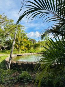 Loodusmaastik puhkemaja lähedal