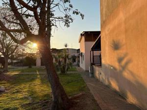 a tree next to a building with the sun setting at Casa vacanza Foceverde lido in Lido di Latina