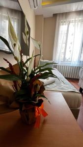 a vase of flowers on a table in a room at Park Star Hotel Taksim in Istanbul +38 photos