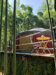 Příroda nedaleko luxury tent
