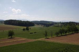an aerial view of a green field with trees at Ferienwohnung Weitblick in Freiamt