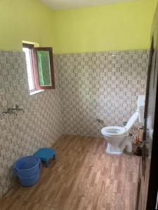 a bathroom with a toilet and a blue stool at Hotel Abhinandan in Phata +23 photos