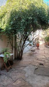 a tree in a patio with a table and a bench at Casa Refugio in General Pico