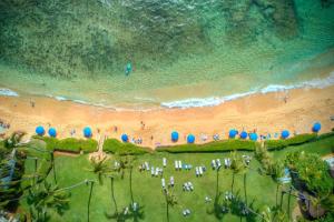 Naturlandskabet i nærheden af feriehuset