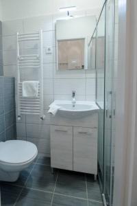 a bathroom with a sink and a toilet and a shower at Modern studio with AirCon and balcony in the center in Budapest
