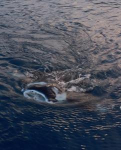 Příroda nedaleko ubytování v soukromí