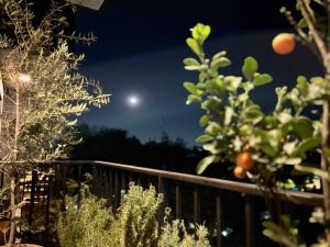 Giardino di HUNAB Roma Apt - Pool, Coworking and Gym NEW
